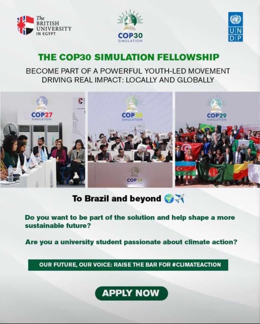 Apply Now for the COP30 Simulation Fellowship Programme: Step Into Global Climate Leadership