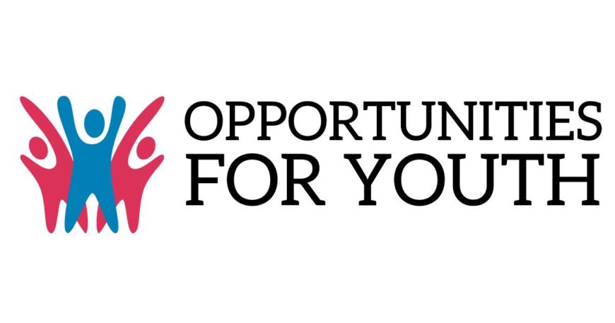 Senior Director Position at Teach For All | Lead Public Sector Engagement in the Global South